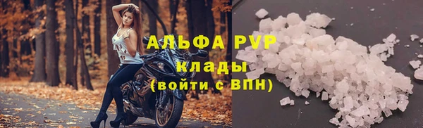 индика Богородицк