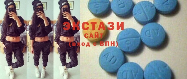индика Богородицк