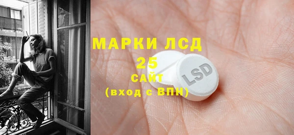 индика Богородицк