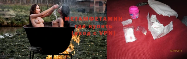 индика Богородицк