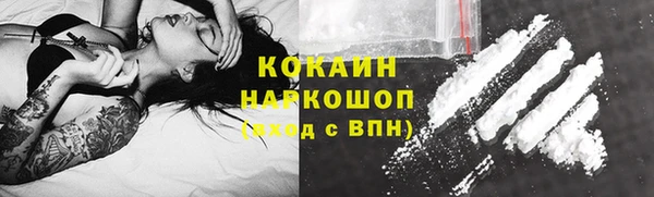 индика Богородицк