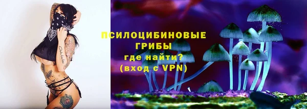 не бодяженный Богданович
