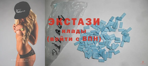 индика Богородицк