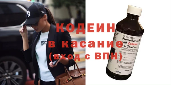 индика Богородицк