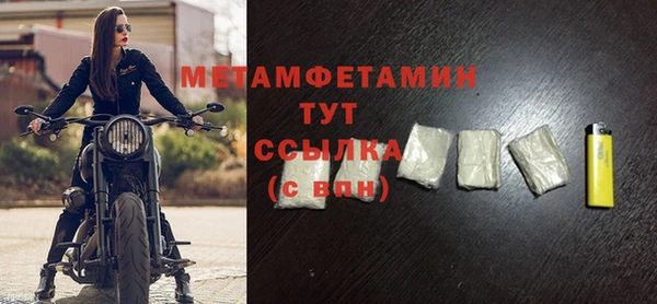 индика Богородицк