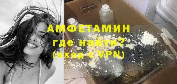 индика Богородицк