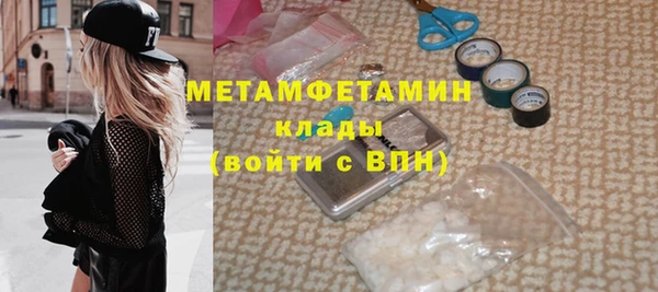 индика Богородицк