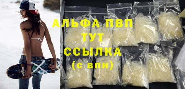 индика Богородицк