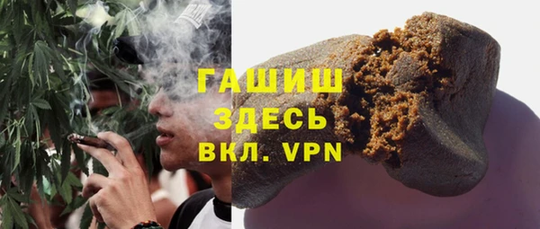 индика Богородицк
